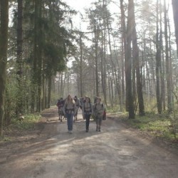 HPIM1780 - Scouts en Gidsen Zaventem 